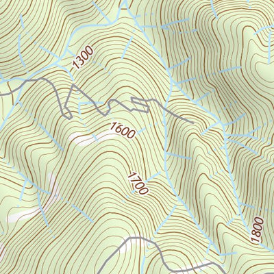 46122NE Page 50 Centralia Topo Preview 3