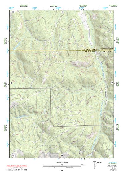 46122NE Page 51 Centralia Topo Preview 1