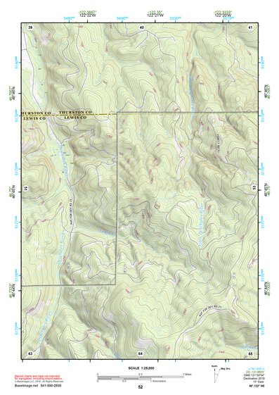 46122NE Page 52 Centralia Topo Preview 1