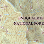 46122NE Page 53 Centralia Topo Preview 3