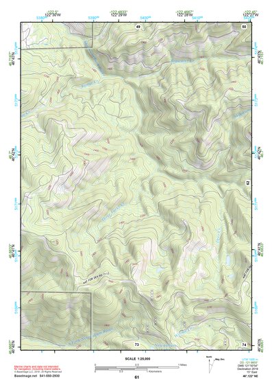 46122NE Page 61 Centralia Topo Preview 1