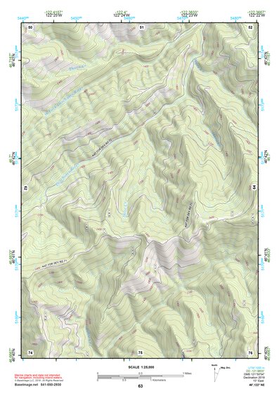 46122NE Page 63 Centralia Topo Preview 1