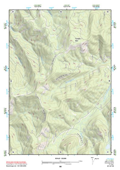 46122NE Page 64 Centralia Topo Preview 1