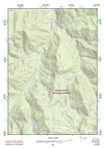 46122NE Page 65 Centralia Topo Preview 1