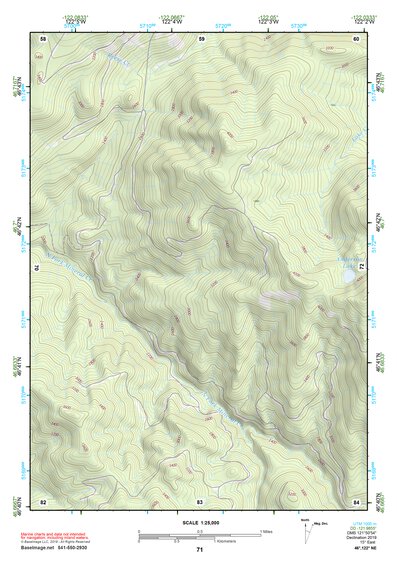 46122NE Page 71 Centralia Topo Preview 1