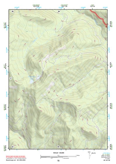 46122NE Page 72 Centralia Topo Preview 1