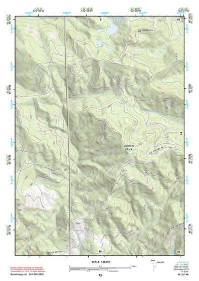 46122NE Page 73 Centralia Topo Preview 1