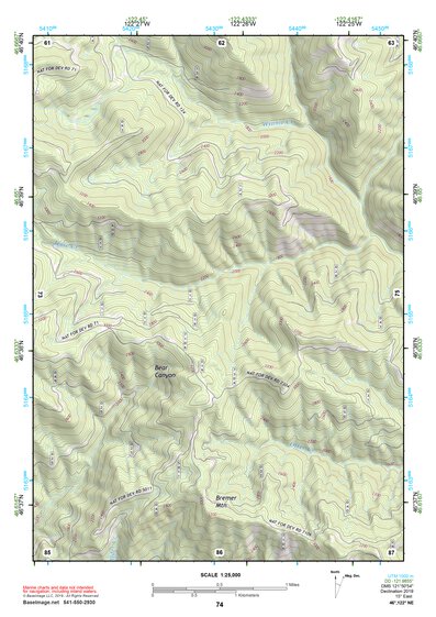 46122NE Page 74 Centralia Topo Preview 1