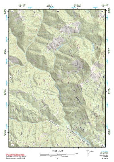 46122NE Page 75 Centralia Topo Preview 1