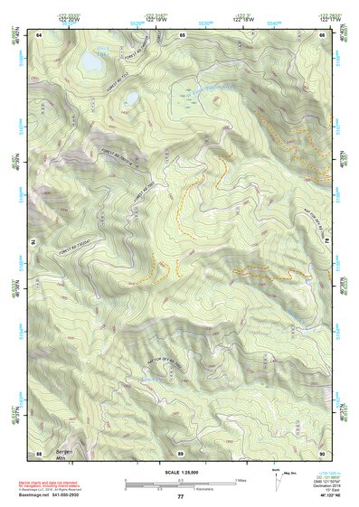 46122NE Page 77 Centralia Topo Preview 1
