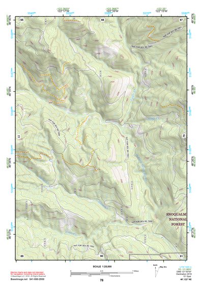 46122NE Page 78 Centralia Topo Preview 1