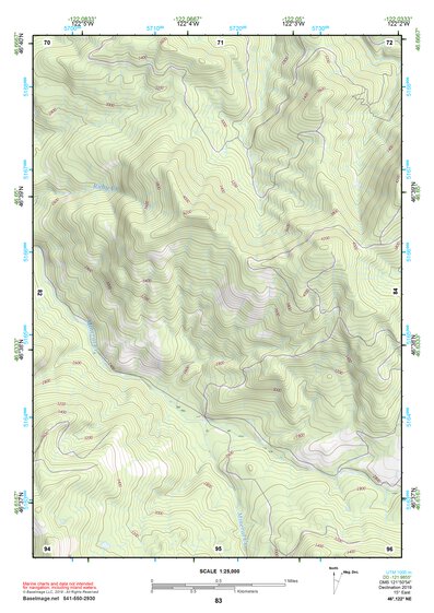 46122NE Page 83 Centralia Topo Preview 1
