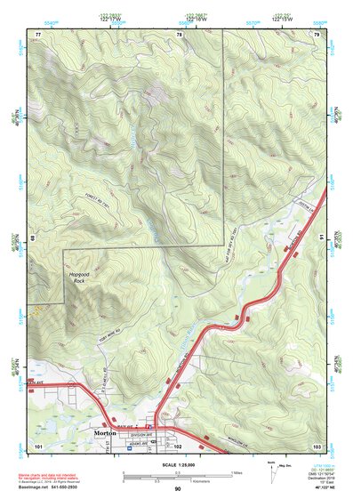 46122NE Page 90 Centralia Topo Preview 1