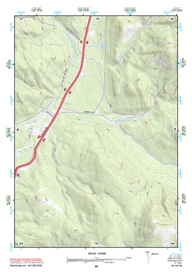 46122NE Page 91 Centralia Topo Preview 1