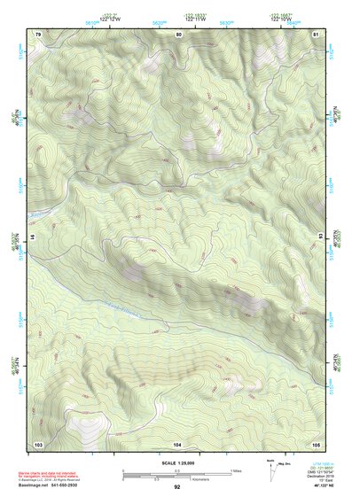46122NE Page 92 Centralia Topo Preview 1
