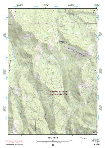 46122NE Page 95 Centralia Topo Preview 1