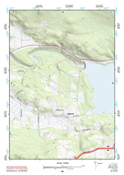46122NE Page 98 Centralia Topo Preview 1