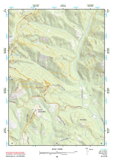 46123NE Page 10 Chehalis River Topo Preview 1