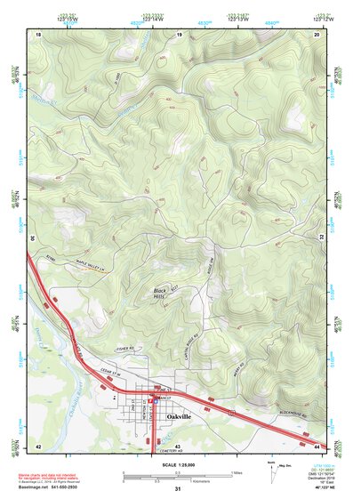 46123NE Page 31 Chehalis River Topo Preview 1