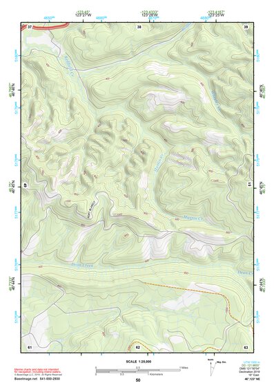 46123NE Page 50 Chehalis River Topo Preview 1