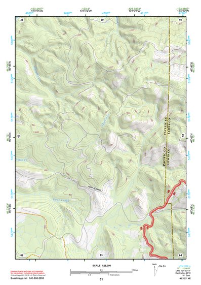 46123NE Page 51 Chehalis River Topo Preview 1