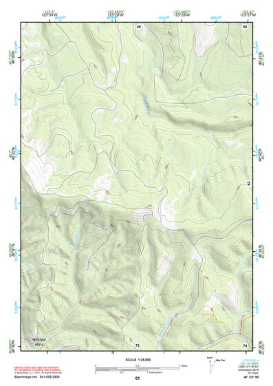 46123NE Page 61 Chehalis River Topo Preview 1