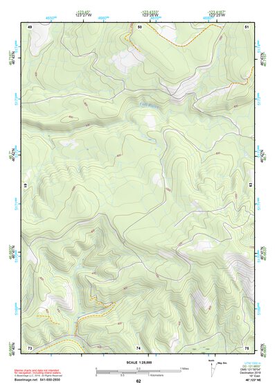 46123NE Page 62 Chehalis River Topo Preview 1
