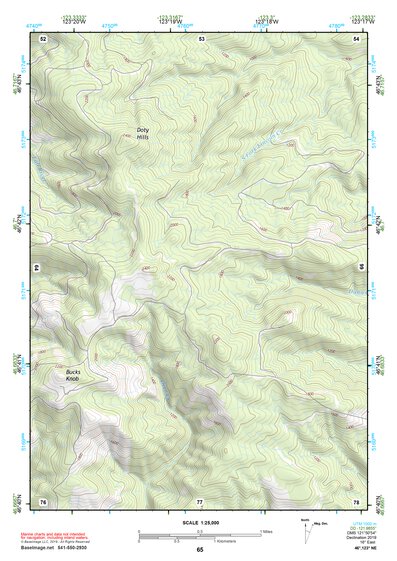 46123NE Page 65 Chehalis River Topo Preview 1