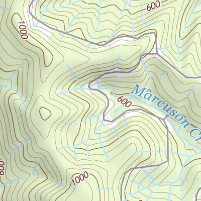 46123NE Page 66 Chehalis River Topo Preview 3