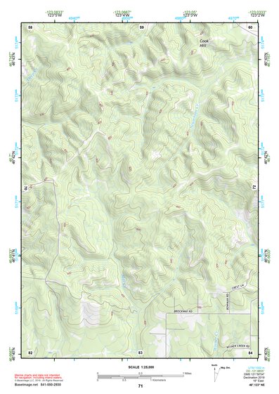 46123NE Page 71 Chehalis River Topo Preview 1