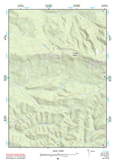 46123NE Page 85 Chehalis River Topo Preview 1