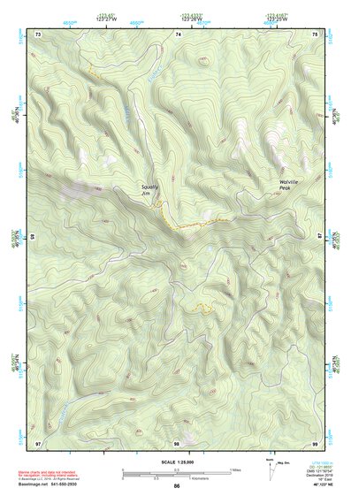 46123NE Page 86 Chehalis River Topo Preview 1