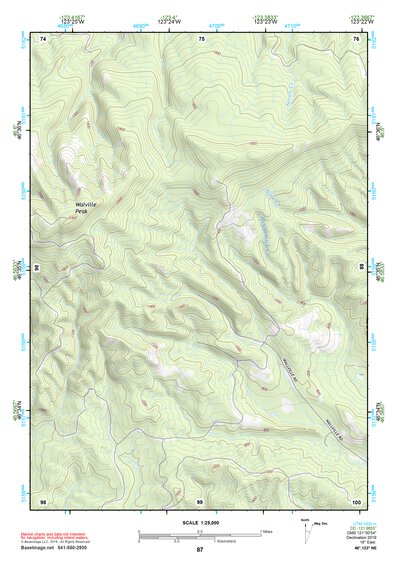 46123NE Page 87 Chehalis River Topo Preview 1