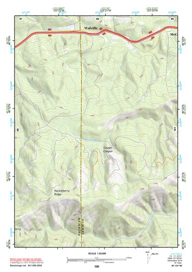 46123NE Page 100 Chehalis River Topo Preview 1