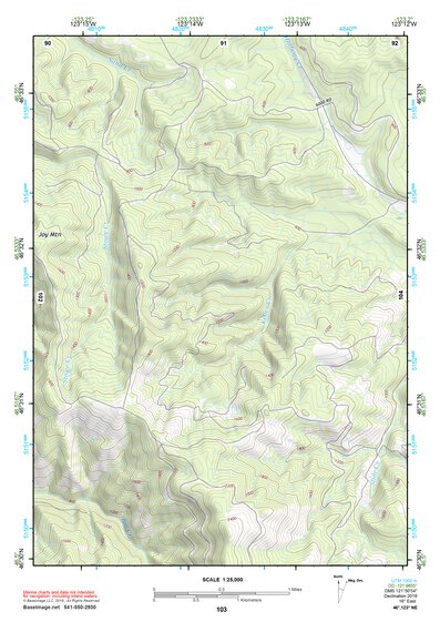 46123NE Page 103 Chehalis River Topo Preview 1
