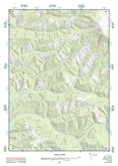 46123NW Page 71 Chehalis River Topo Preview 1