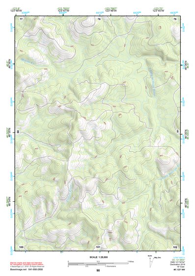46123NW Page 90 Chehalis River Topo Preview 1