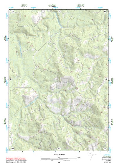 46123NW Page 91 Chehalis River Topo Preview 1