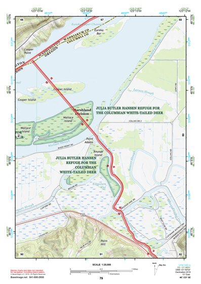 46123SE Page 79 Astoria Topo Preview 1