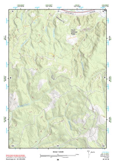 46123SE Page 89 Astoria Topo Preview 1