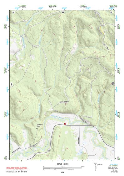 46123SE Page 101 Astoria Topo Preview 1