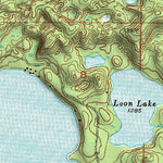 (47093a1) Page 033 Pokegama Lake Preview 3