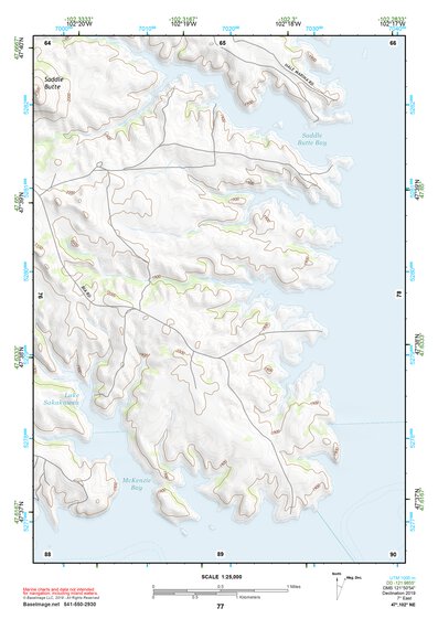47102NE Page 77 Parshall Topo Preview 1