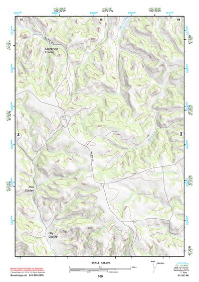 47102NE Page 100 Parshall Topo Preview 1