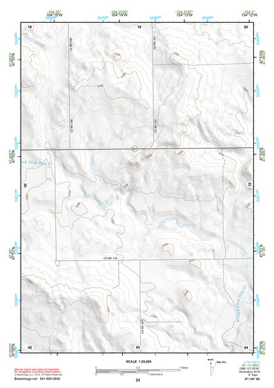 47104NE Page 31 Sidney Topo Preview 1