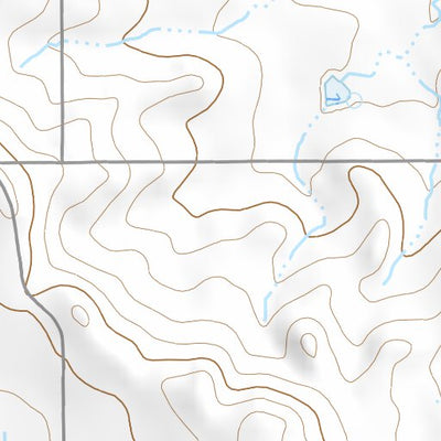 47104NE Page 39 Sidney Topo Preview 2