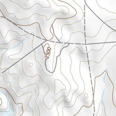 47104NE Page 41 Sidney Topo Preview 2