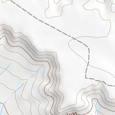 47104NE Page 49 Sidney Topo Preview 2