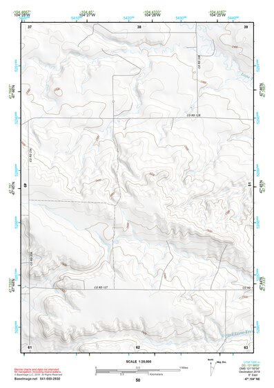 47104NE Page 50 Sidney Topo Preview 1