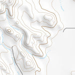 47104NE Page 65 Sidney Topo Preview 3